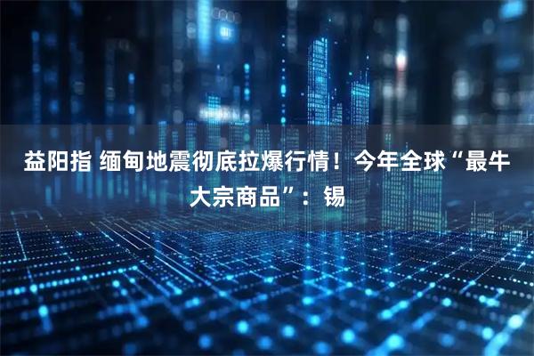 益阳指 缅甸地震彻底拉爆行情！今年全球“最牛大宗商品”：锡