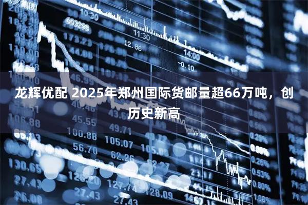 龙辉优配 2025年郑州国际货邮量超66万吨，创历史新高