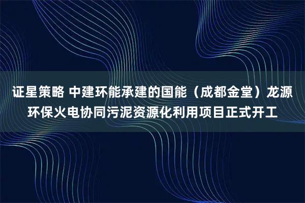 证星策略 中建环能承建的国能（成都金堂）龙源环保火电协同污泥资源化利用项目正式开工