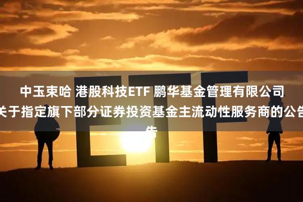 中玉束哈 港股科技ETF 鹏华基金管理有限公司关于指定旗下部分证券投资基金主流动性服务商的公告